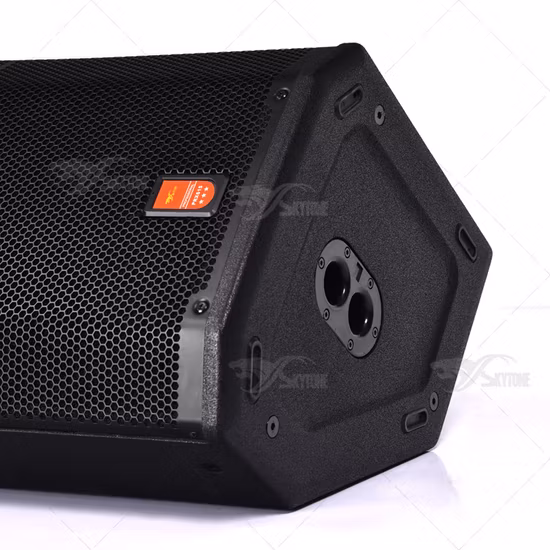 Haut-parleur de fête professionnel Rechargeable, nouvelle tendance, boîte Audio professionnelle avec caisson de basses profond de 10 pouces