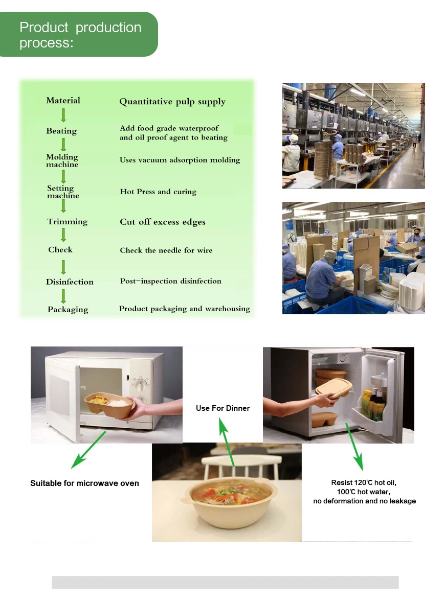 100% Biodegradable Sugarcane Bagasse Disposable Portable Food Grade Kids Bento Kitchen Packaging Square Salad Bowls