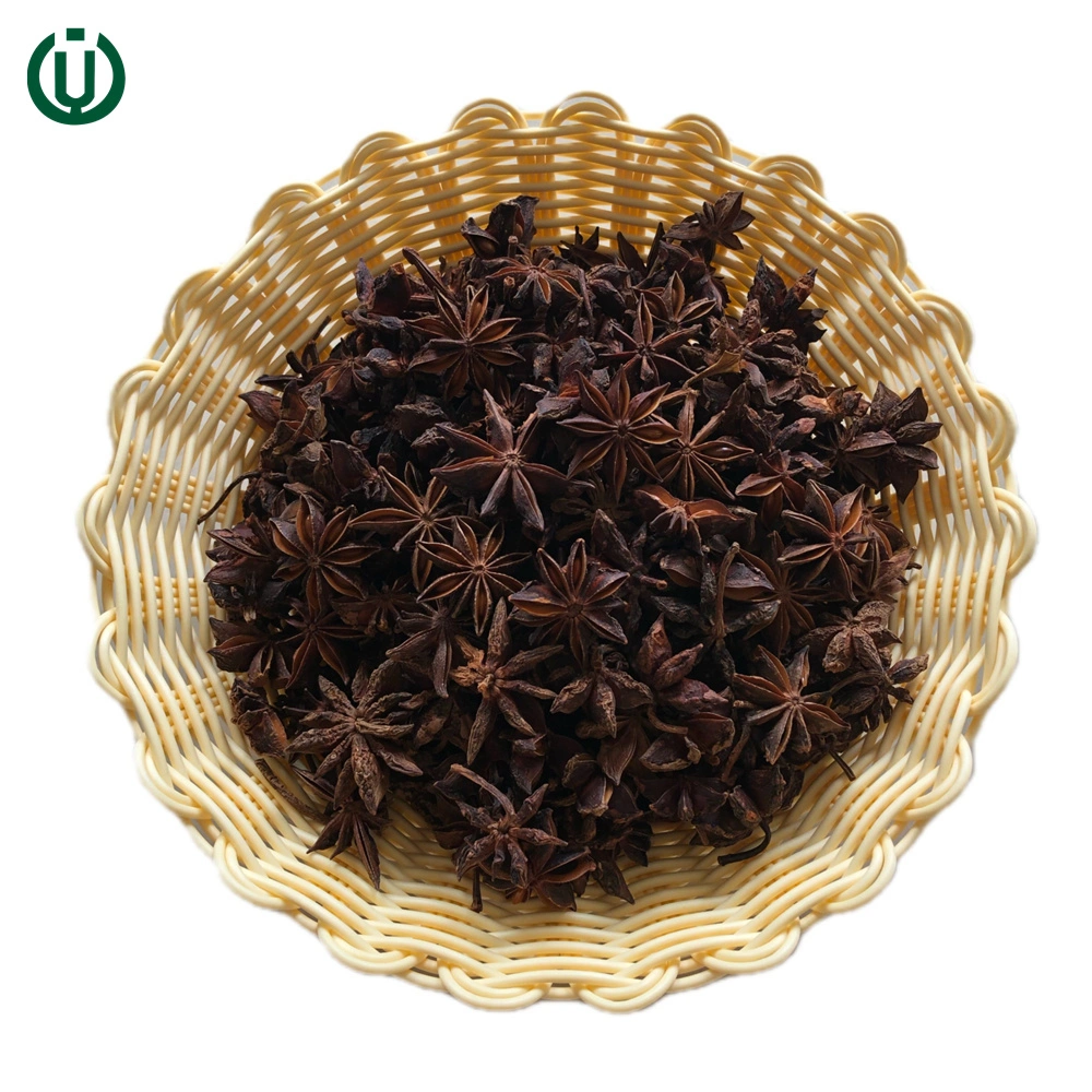 Factory Wholesales Dried Star Anise Faq Chinese Spices Seasoning Crop Star Aniseed