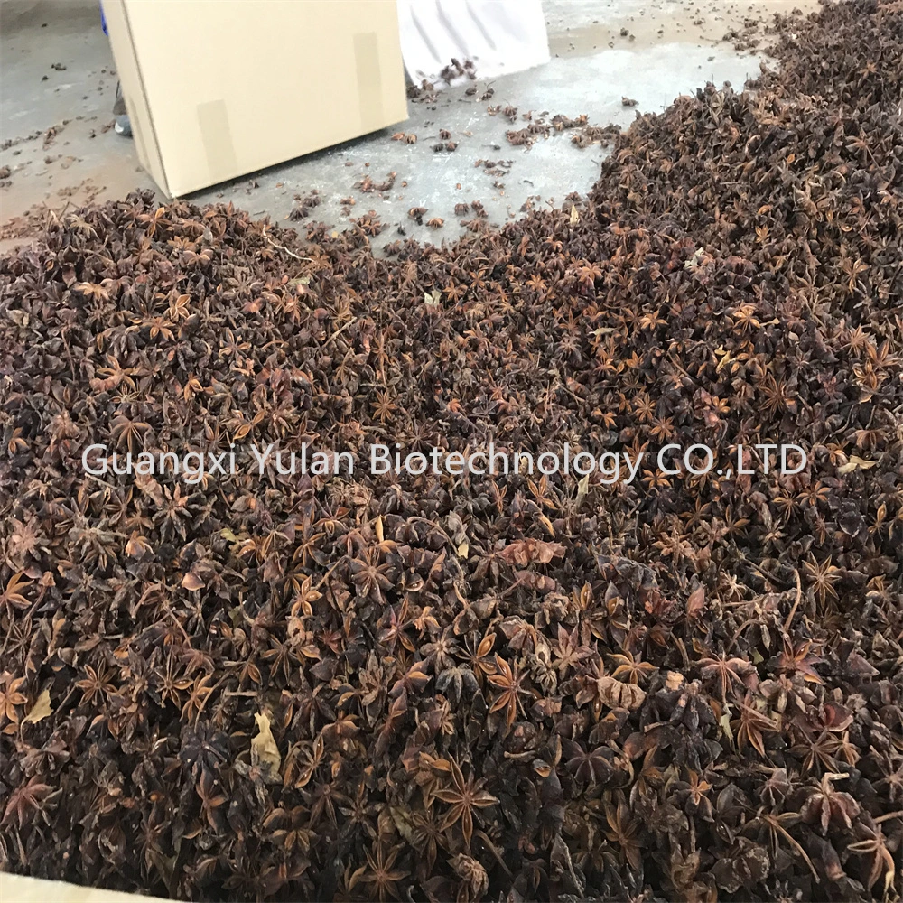 Factory Wholesales Dried Star Anise Faq Chinese Spices Seasoning Crop Star Aniseed