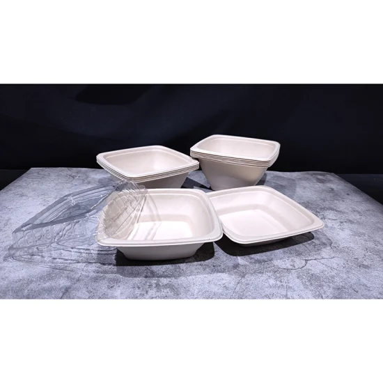 Bagasse de canne à sucre 100% biodégradable, jetable, Portable, de qualité alimentaire, Bento pour enfants, emballage de cuisine, bols à salade carrés